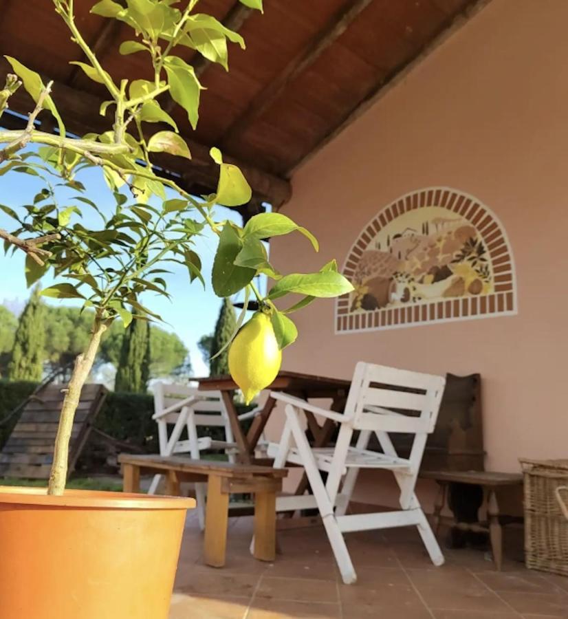 Villa Donnola: Casa Rosmarino Fucecchio Exterior photo